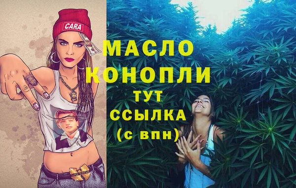 МДПВ Алзамай