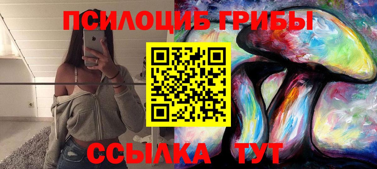 Галлюциногенные грибы Psilocybine cubensis Чапаевск